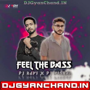 Dhoop Me Nikla Na Karo Roop Feel The Bass - DJ Ravi x DJ Vishal